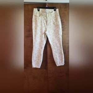 Judy Blue Skinny Fit 18W